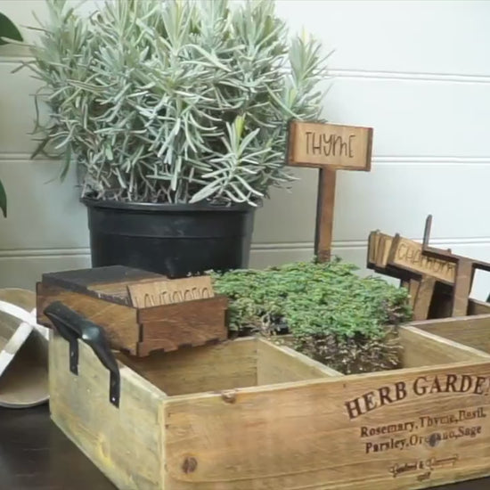 Vegetable & Herb Name Planting Sticks | Vegetable Plant Markers | Herb Plant Market set