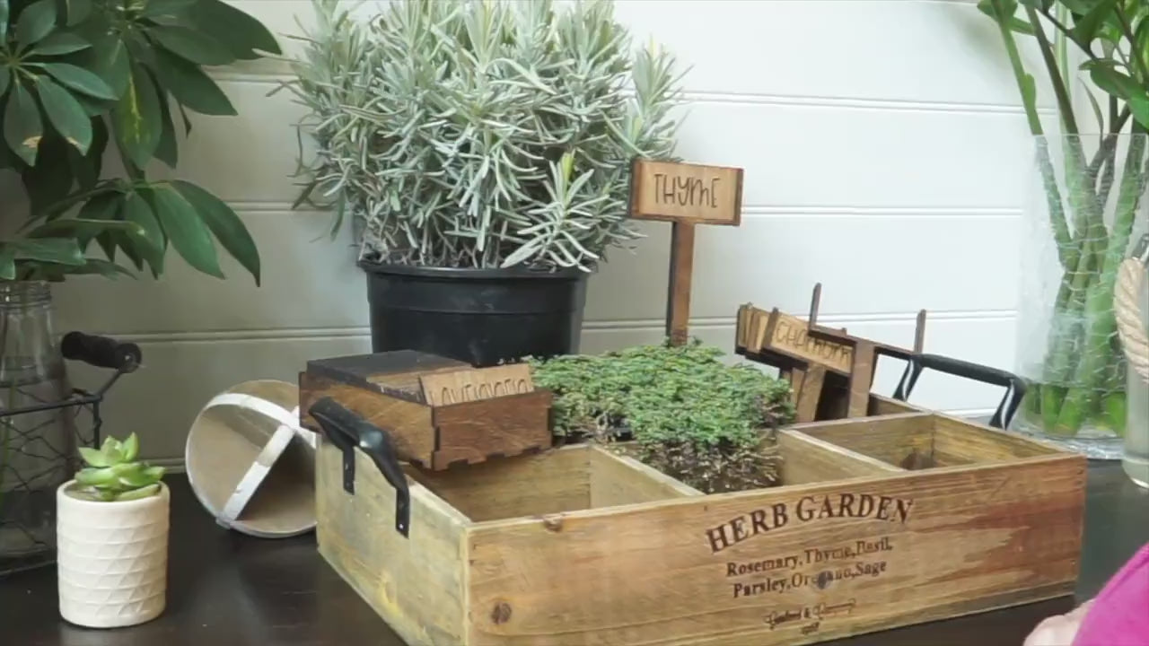 Vegetable & Herb Name Planting Sticks | Vegetable Plant Markers | Herb Plant Market set