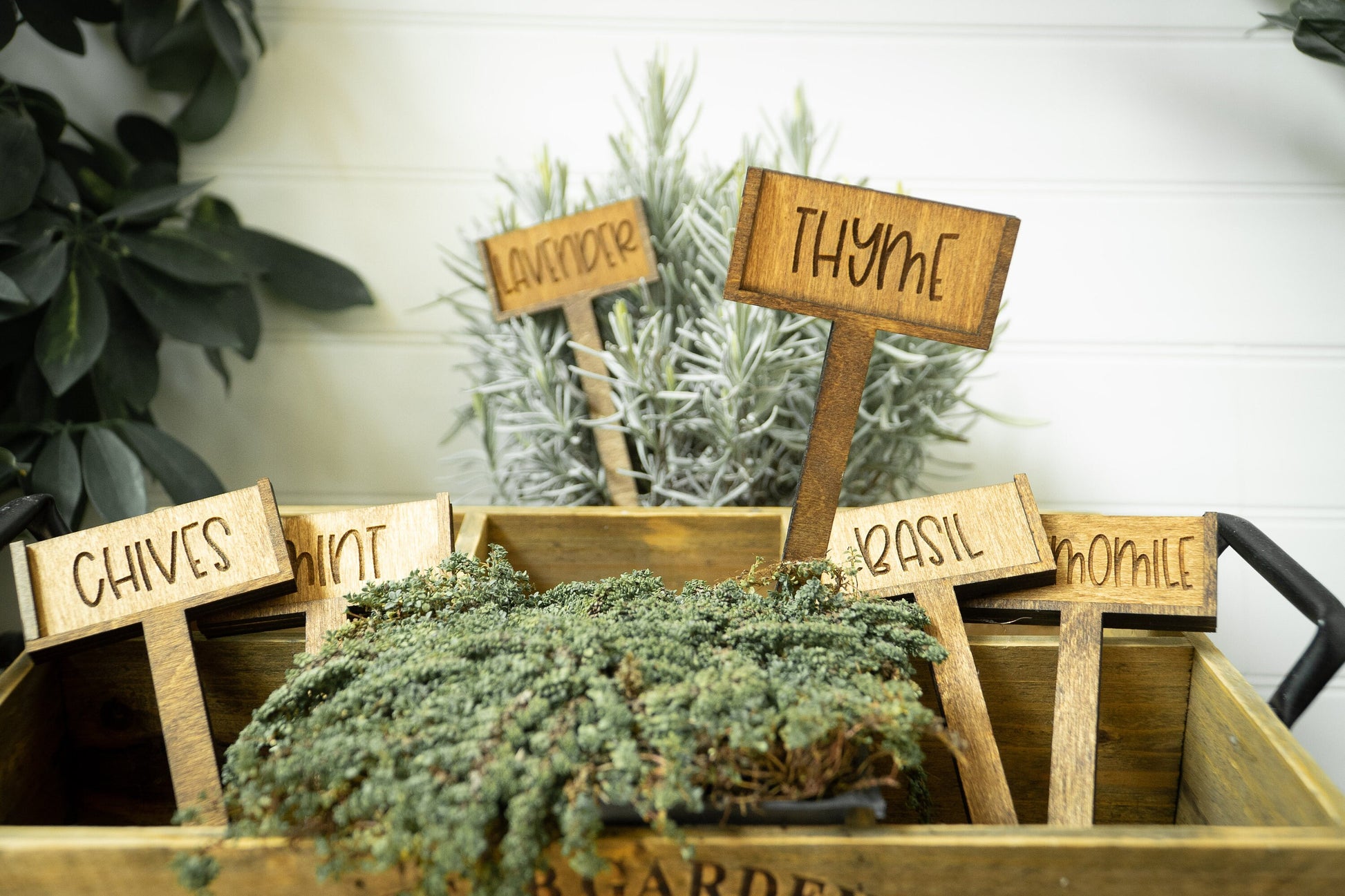 Vegetable & Herb Name Planting Sticks | Vegetable Plant Markers | Herb Plant Market set