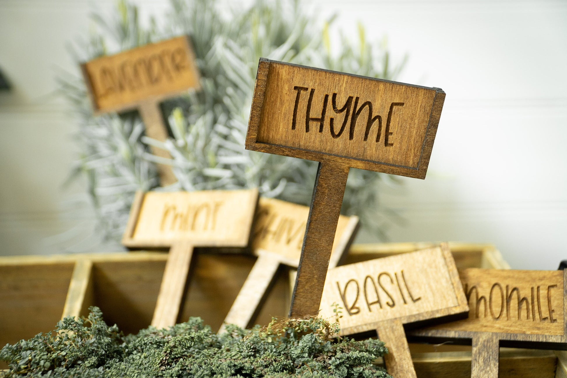 Vegetable & Herb Name Planting Sticks | Vegetable Plant Markers | Herb Plant Market set