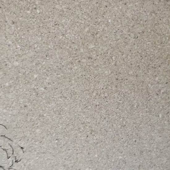 8"x12" - Disney Inspired Pin Trading Board | Pin Trader Board | Pin Display Board | Pin Trading | Pin Trading Cork Board | Pin Trading Book